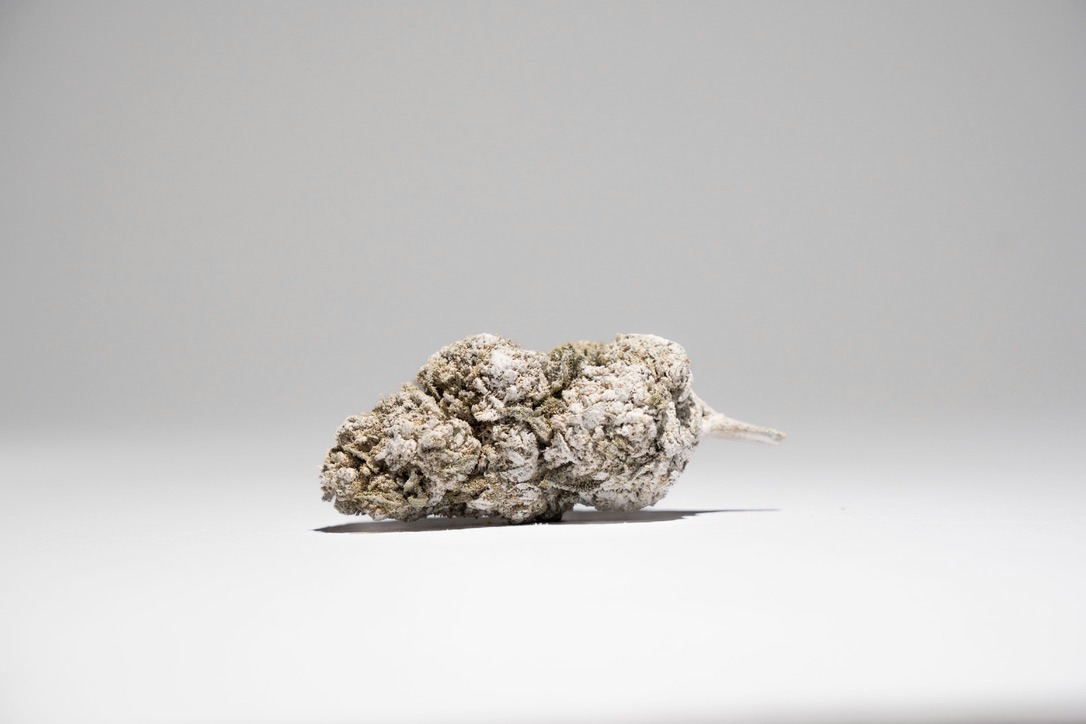 RABBIT HOLE — THCA flower
